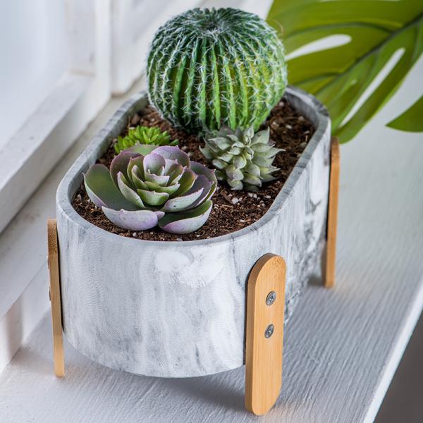 Cactus Planters Mini Pots Clay Flower Pots Cement Pot Planter Set Succulents Planters Marble Pots