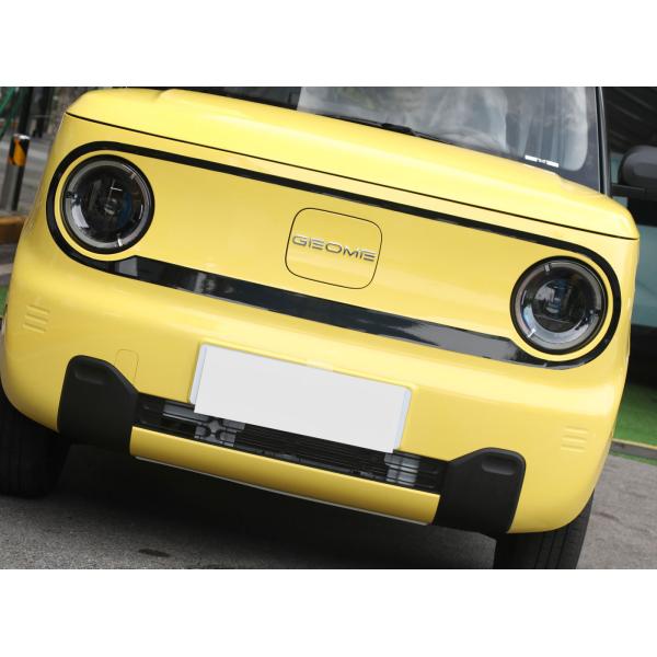 GEELY Panda Chinese Mini Electric Car EV Top Speed 100km/H For Urban Transportation