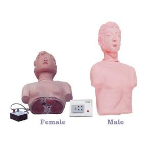Cheap Medical Science Human Half Body Simulation CPR Manikin For Medical Training wholesale