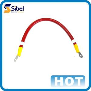 Customized Rohs compliant Automobile Wire Harness assembly wiring harness under