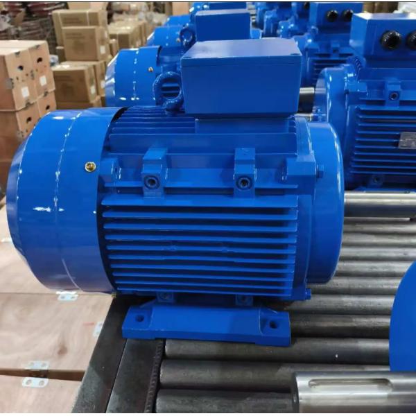 YE4 IE4 Electric Motors 1000rpm 1500rpm 3000rpm Three Phase AC Induction Motors