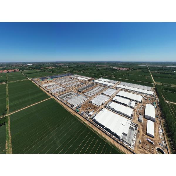 Galvanized Customized Steel Structured Buildings For Poultry Farms