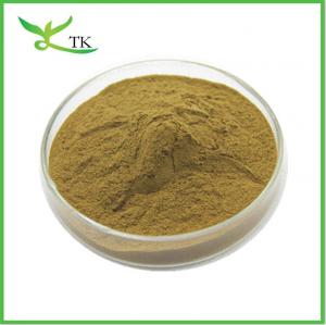 Cheap Natural African Mango Seed Extract Powder 10:1 Mango Seed Extract Weight Loss Raw Material wholesale