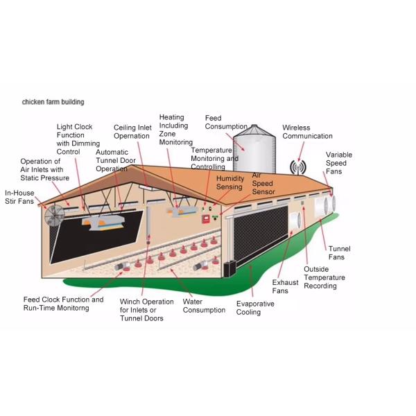 Customized Modern Steel Structure Chicken House Layer Cage For Chickens Poultry Farm