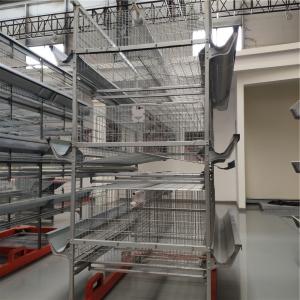 China Galvanized Wrie Laying Hen Cages 160 Birds/Set Egg Collecting on sale