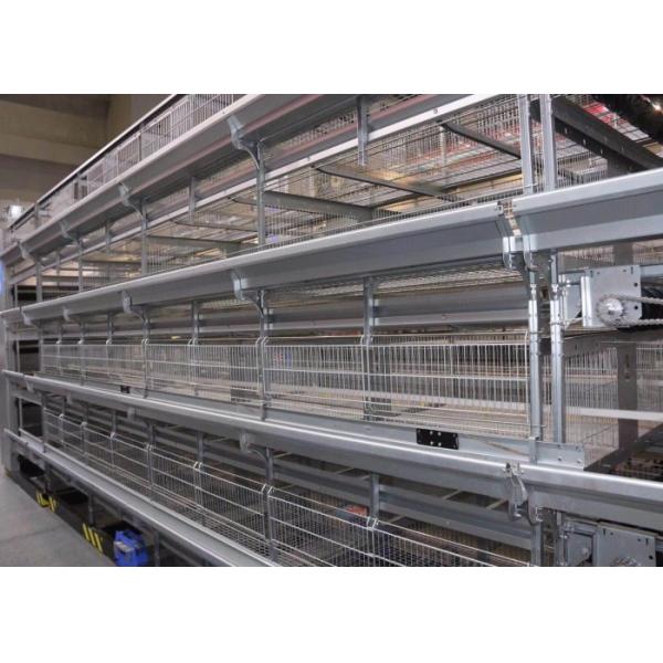 Silvery Industrial Broiler Chicken Cage For Laying Eggs Double Scraping Manure Unit