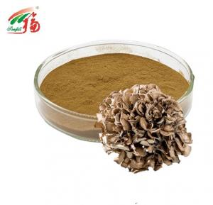 Cheap Grifola Frondosa Maitake Mushroom Extract Pharmaceutical Powder 30% Polysaccharides wholesale
