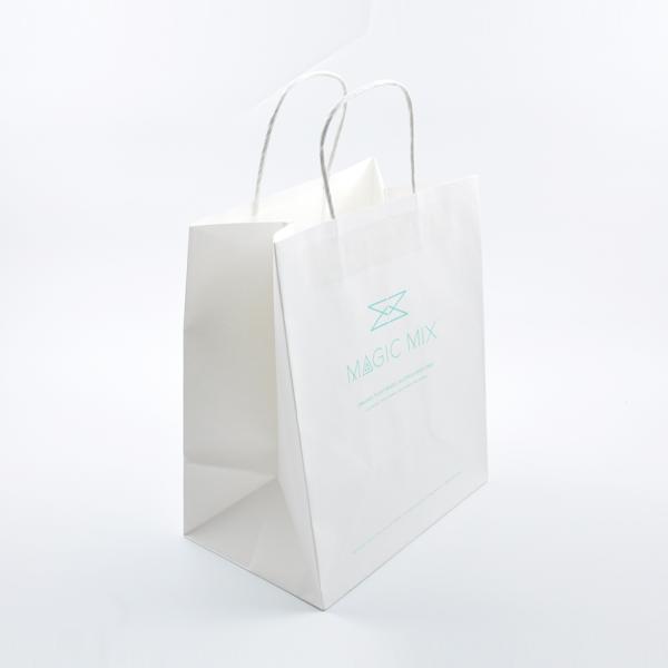 Eco Friendly Printed Paper Bags Portable With Handle Oem Odm Available