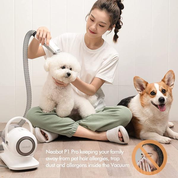 Hot Style 5 in 1 Pet Grooming Kit Vacuum Cleaner Dogs High Suction Power 1300Pa-9000Pa