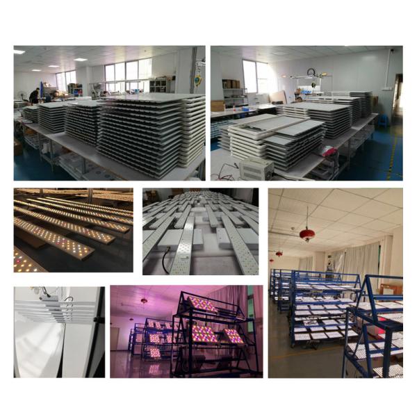 B1-9 48V DC 405nm 6''x36'' 60W Led Plant Grow Light