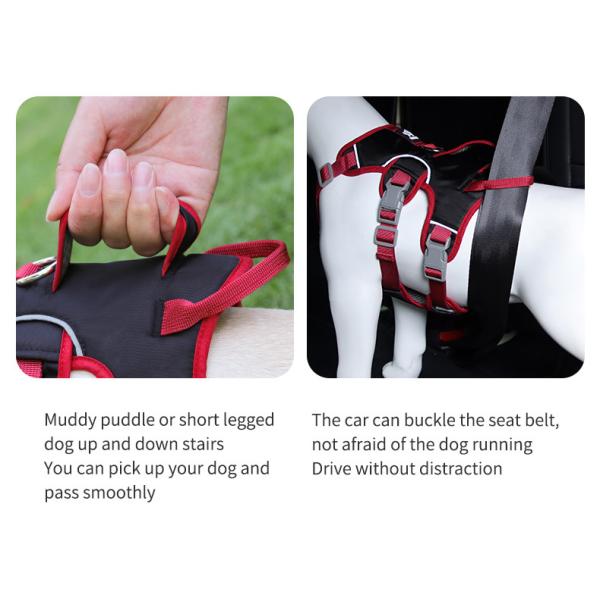 Medium Size Personalized Dog Harness No Pull Dog Harness Anti Breakaway Safe Anti Escape