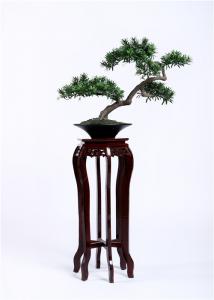 Ornamental Bonsai Pine Tree , Artificial Plants Bonsai Elegant Charming