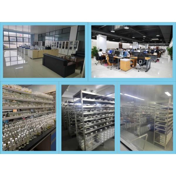 Island Water Fragrance Oil 10ml Concentrated Perfume Essence Floral