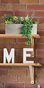 Artificial succulent in a home kitchen