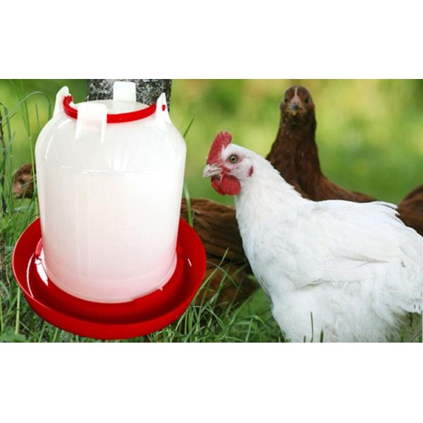 Goose 1.5L Poultry Feeder Drinker For Farming