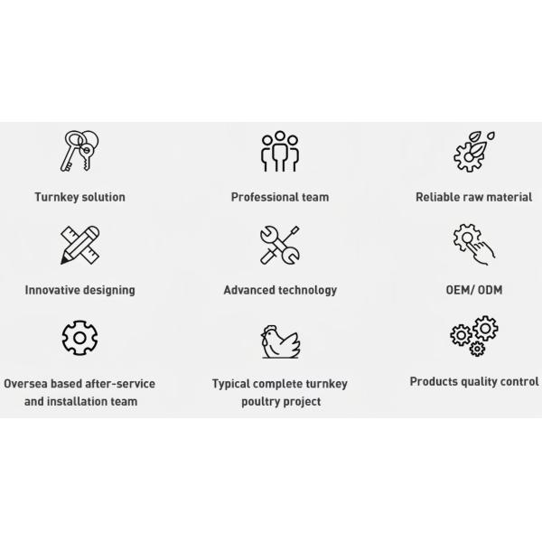 Broiler Breeder Raising Growing Equipment System Plant Line Layer Floor Farming Poultry Chicken House