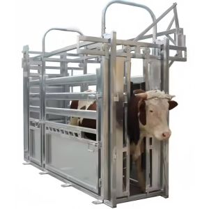 Buy cheap Heavy Duty Steel Cattle Buildings Customized Steel Structure Animal Husbandry from wholesalers