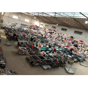 Guangzhou Holitex Comercial Trading Co., Ltd.