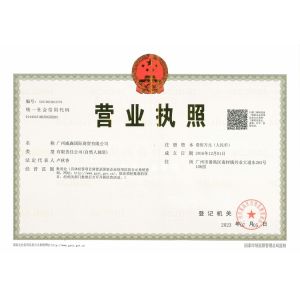 GUANGZHOU VISON INTERNATIONAL WATER PARK EQUIPMENT CO.,LTD Certifications