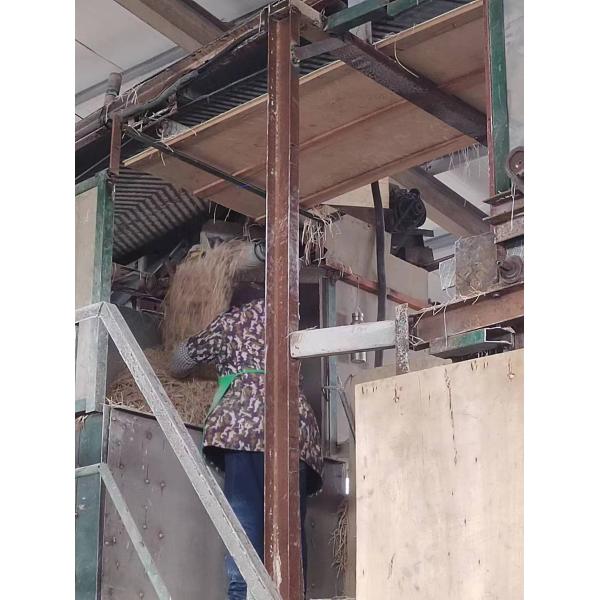 Office Ceiling Tile RAL White Wood Wool Cement Acoustic Panels Soundproofing Board