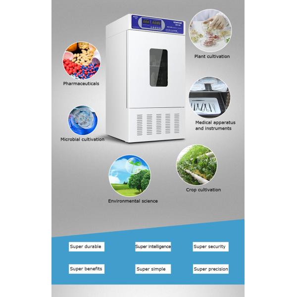 Cooled Thermostatic Incubator Laboratory Bacteriological Incubator With Refrigerated 0-65C