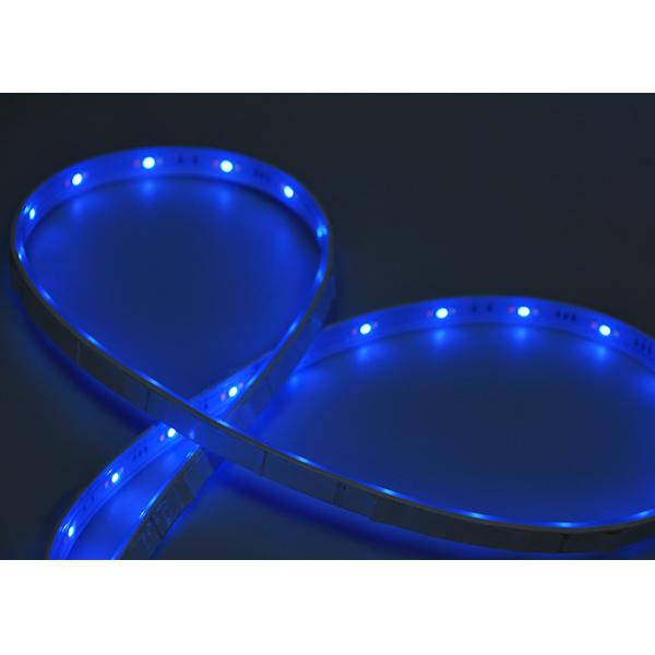 RoHS Bright RGBWW 2m 10w/M 24V LED Strip Light