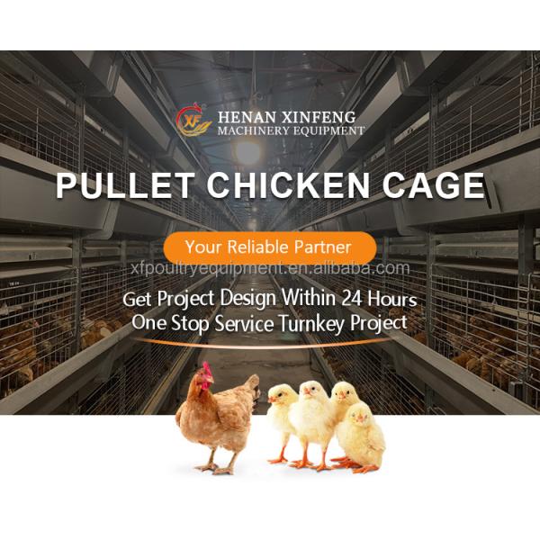 Poultry Farm Automatic Equipment Multi Tiers Pullet Layer Egg Hen Chicken Cage Day Old Baby Chickens Pullet Chicken Cage