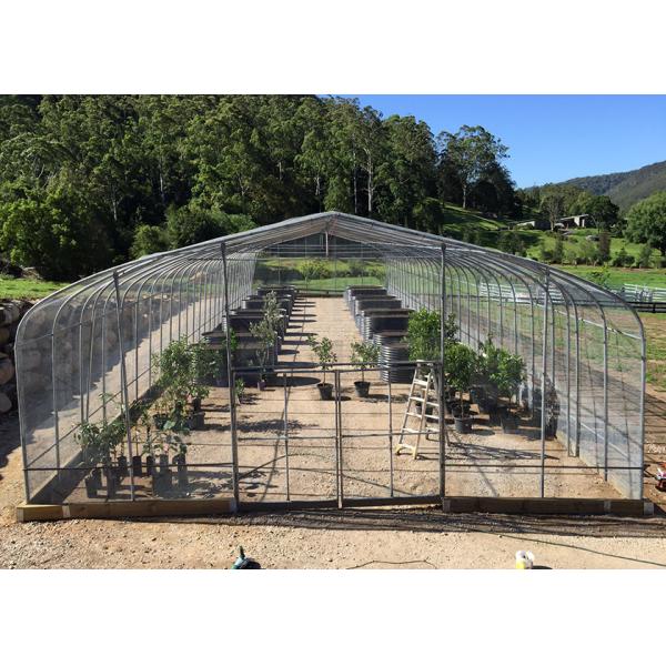 10m Width Heavy Duty Plastic Greenhouse For Outdoor 3-6 Meter Roof Height