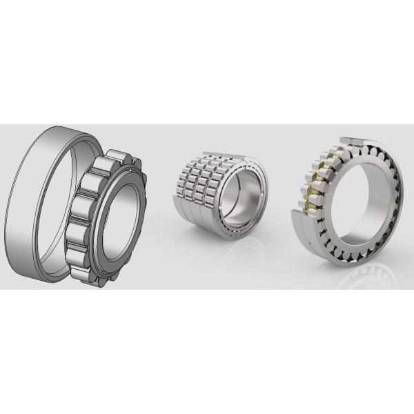 238902.RNN F-238905.RNN F-560280.RNN RN312 Reducer Double Row Cylindrical Roller Bearing