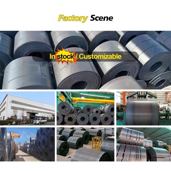 The Most Precious Suitable Hot Rolled Low Carbon Steel Coil for Building Hydraulic Pipe