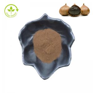 Cheap Black Garlic Powder Buy Factory Health Product Organic Black Garlic Oil Extractr 10:1 Black Garlic Extract wholesale