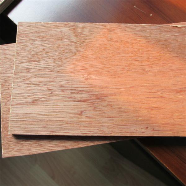 Furniture Moisture Proof 18mm 12mm Bintangor Plywood