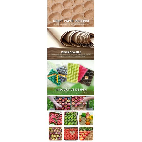 Manufacture Alveoles Paper Tray for Stone Fruit Apple Paper Cells Tray Krat Paper Fruit Trays