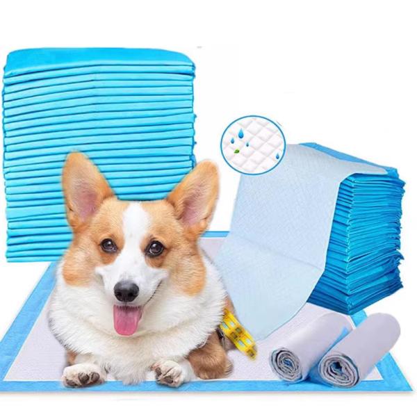 Quality Superior Absorbent Disposable Pet Pads OEM Underpad for sale
