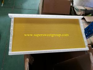 China Beekeeping langstroth plastic beehive bee frame with plastic sheet supplier on sale