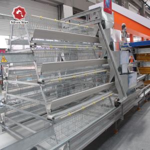 Free Design Provide Layer Chicken Cage Hot Dip Galvanized