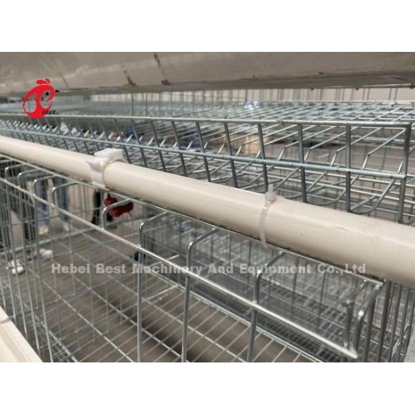 Galvanized Steel Layer Chicken Cage System Sandy