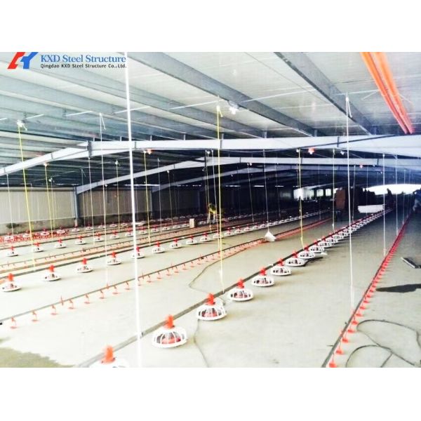 Automatic Battery Egg Layer Cages , Chicken Laying Hens Cage Poultry Farming Equipment