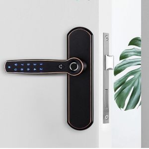 China 508DPI Anti Theft TTlock Smart Automatic Handle Door Lock on sale