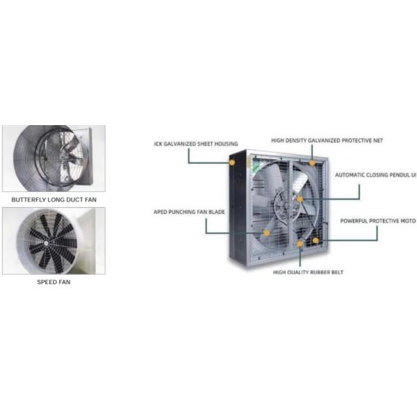 Automatic Battery Egg Layer Cages , Chicken Laying Hens Cage Poultry Farming Equipment