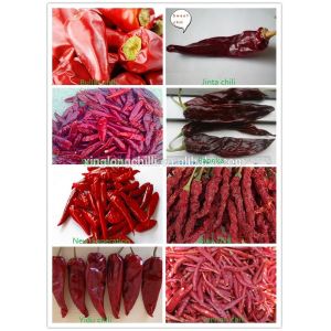 Neihuang Xinglong Agricultural Products Co. Ltd