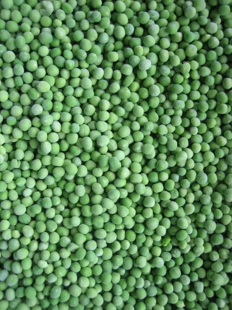 Cheap Wholesale IQF Green Peas Bulk 10kg Frozen Vegetables wholesale
