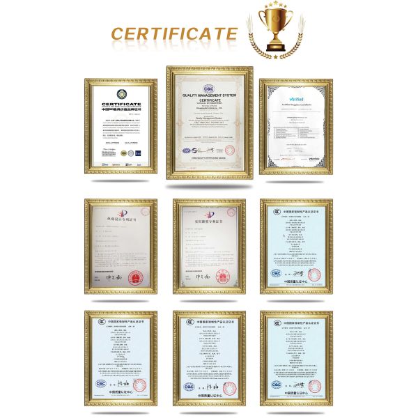 DAYANG 5.0-12 Tire Size Motorized Tricycle for Food Delivery in Tanzania Market