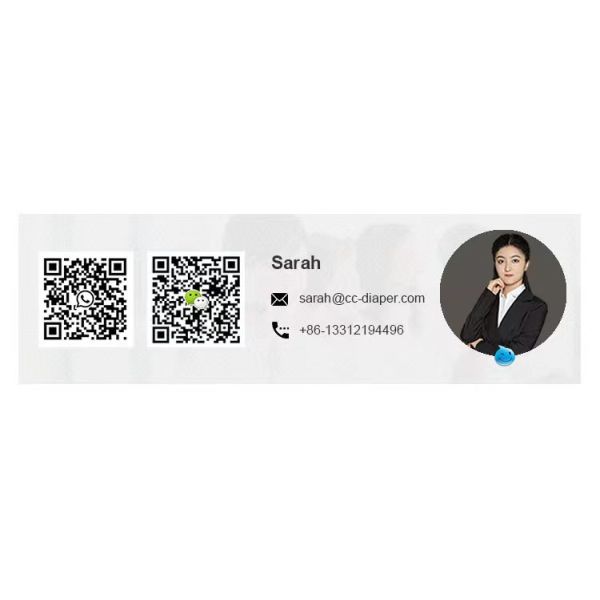 Customized Pet Potty Training Pads Core Incontinence Pet Pad for Training Dogs