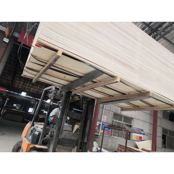 Furniture Moisture Proof 18mm 12mm Bintangor Plywood