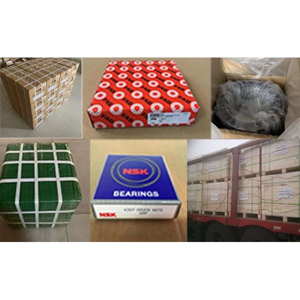 Double Row Cylindrical Roller Bearing Cylindrical Ball Bearing 36*54.3*22mm