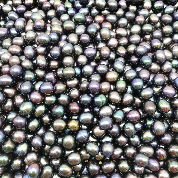 Wholesale AAA Grade 6-7mm and 7-8mm no hole Rice Shape Black pearl Freshwater Loose Pearl Beads