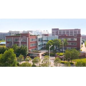 Guangzhou Theodoor Technology Co., Ltd.