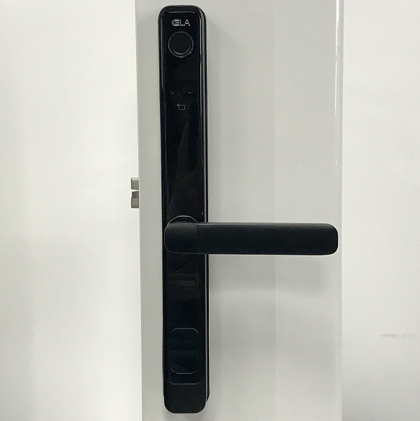 Fingerprint Biometric Security Smart Door Lock SUS304 / Aluminum Alloy