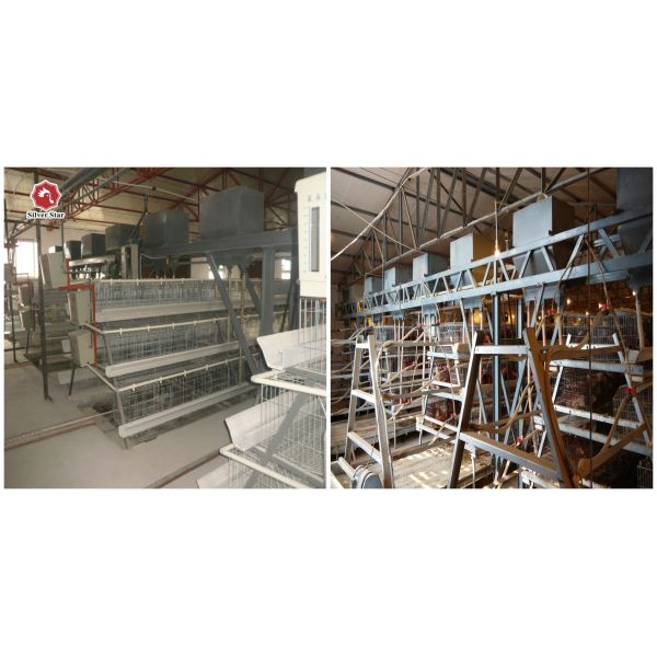 380V Broiler Automatic Feeder , 500KGS Hot Dip Galvanized Chicken Cage Equipment
